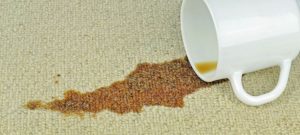 Cleaning carpet coffee stains